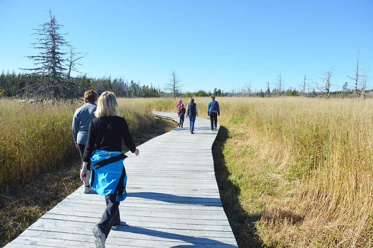 Bidgood Park in St. John's, Newfoundland and Labrador