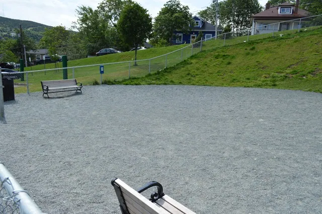 Victoria Park Dog Park in St. John's, Newfoundland and Labrador